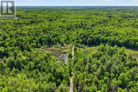 17224 Highway 62 Madoc ON K0K 1Y0