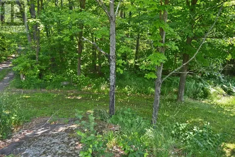 19 Turtle Lane Parry Sound ON P0G 1C0