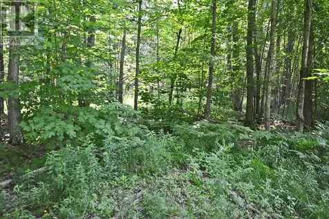 19 Turtle Lane Parry Sound ON P0G 1C0