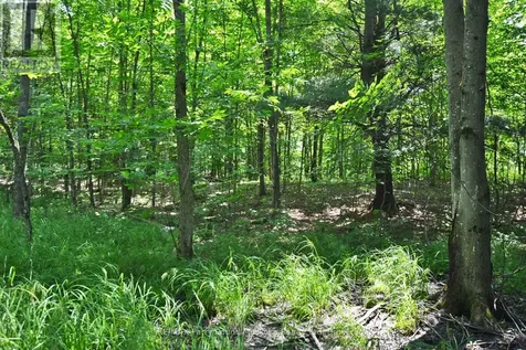 19 Turtle Lane Parry Sound ON P0G 1C0