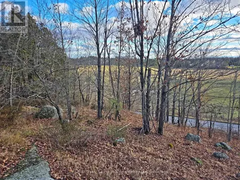 19 Turtle Lane Parry Sound ON P0G 1C0