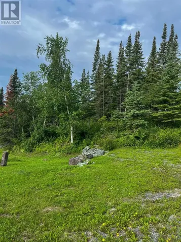 17 Au Lac Retreats Rd|near Government Dock Sioux Narrows ON P0X 1N0