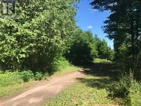 Pt Lt 48 Concession 3 Road West Grey ON N0C 1K0