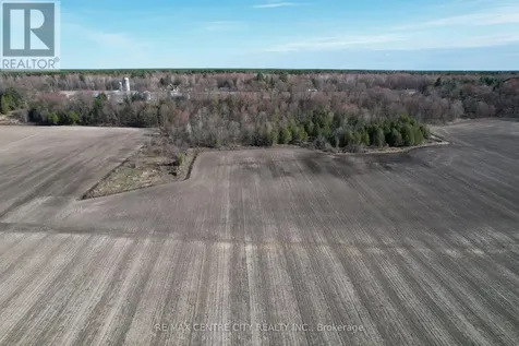 1537 St. Felix Road Clarence-rockland ON K0A 2A0