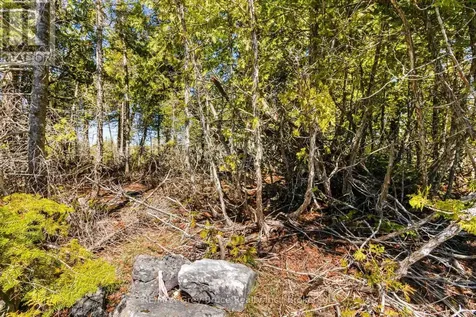 23 Pedwell Drive Northern Bruce Peninsula ON N0H 2R0