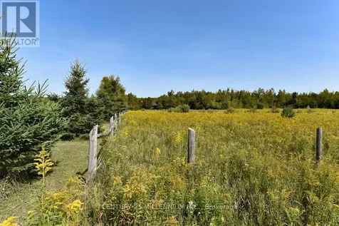 387091 20th Sideroad Mono ON L9W 6V5