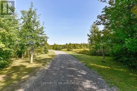 387091 20th Sideroad Mono ON L9W 6V5
