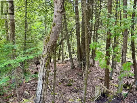 104 Little Pine Drive Northern Bruce Peninsula ON N0H 1W0