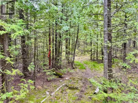 104 Little Pine Drive Northern Bruce Peninsula ON N0H 1W0