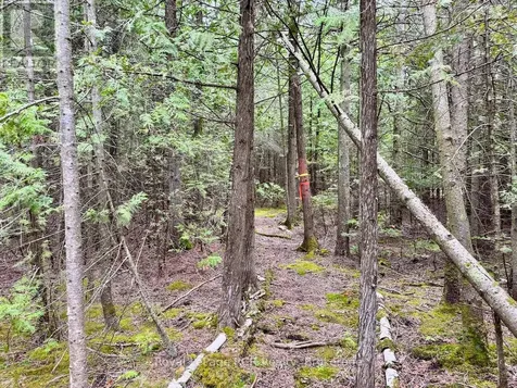 104 Little Pine Drive Northern Bruce Peninsula ON N0H 1W0