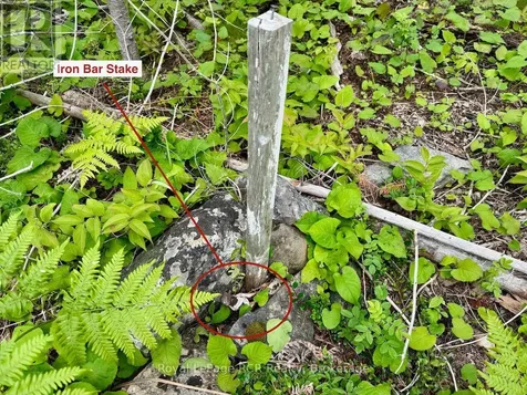 104 Little Pine Drive Northern Bruce Peninsula ON N0H 1W0