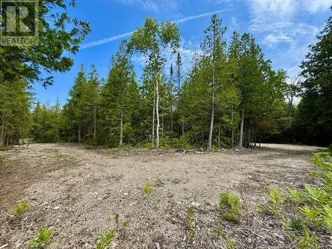 104 Little Pine Drive Northern Bruce Peninsula ON N0H 1W0