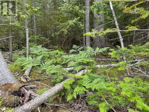 104 Little Pine Drive Northern Bruce Peninsula ON N0H 1W0