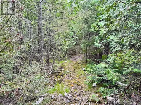 104 Little Pine Drive Northern Bruce Peninsula ON N0H 1W0