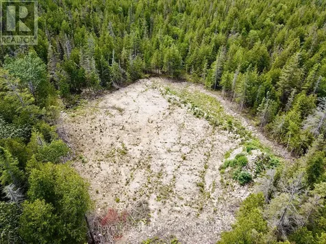 104 Little Pine Drive Northern Bruce Peninsula ON N0H 1W0