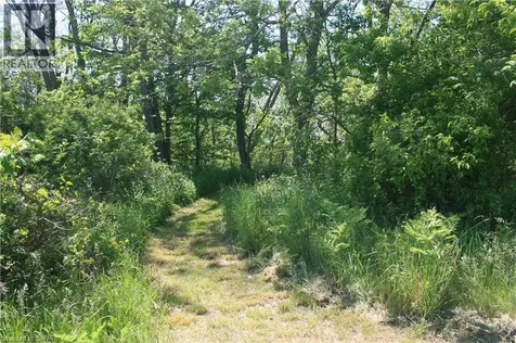 6349 Plank Road Vienna ON N0J 1Z0