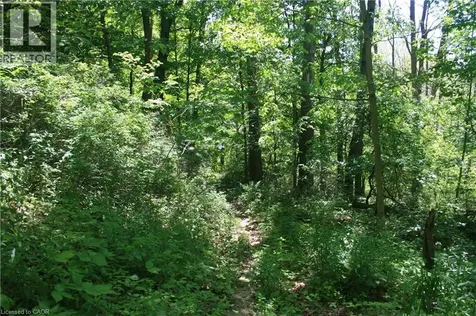 6349 Plank Road Vienna ON N0J 1Z0
