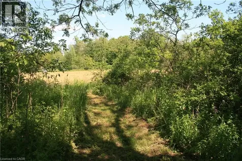 6349 Plank Road Vienna ON N0J 1Z0