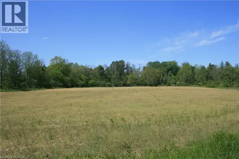 6349 Plank Road Vienna ON N0J 1Z0