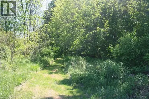 6349 Plank Road Vienna ON N0J 1Z0