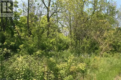 6349 Plank Road Vienna ON N0J 1Z0
