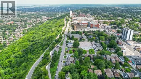 238 Mountain Park Avenue Hamilton ON L8V 1A4