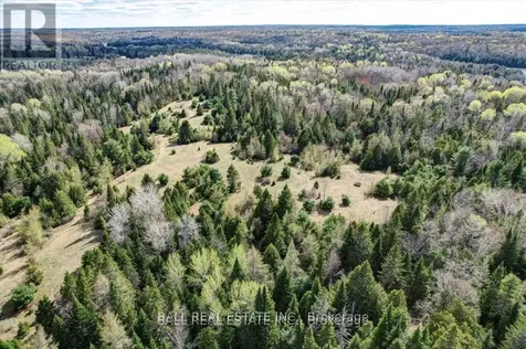 As Part 2 Road North Kawartha ON K0L 1A0
