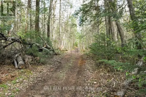 0 Clydesdale Road North Kawartha ON K0L 1A0