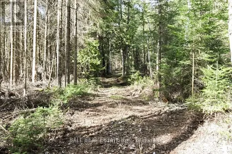 0 Clydesdale Road North Kawartha ON K0L 1A0