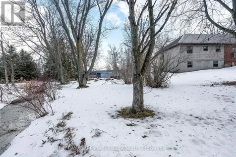 9038 County Rd 91 Road Clearview ON L0M 1H0