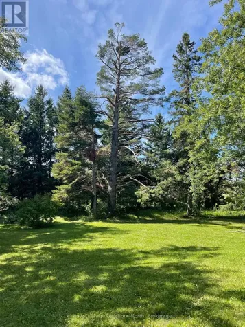 9038 County Rd 91 Road Clearview ON L0M 1H0