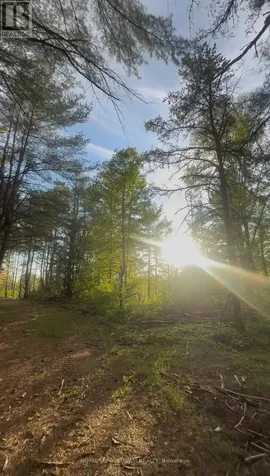 000 Doran Road Petawawa ON K8H 2W8