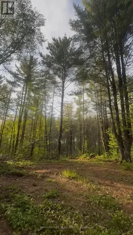 000 Doran Road Petawawa ON K8H 2W8
