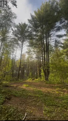 000 Doran Road Petawawa ON K8H 2W8
