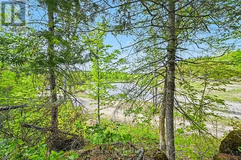 8688 Hwy 511 Highway Lanark Highlands ON K0G 1K0