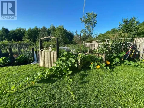 1229 County Road 124 Clearview ON N0C 1M0