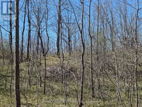 0 Little Crosby Lake Road Rideau Lakes ON K0G 1X0