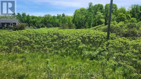 Lot 14 Trent River Road Trent Hills ON K0L 1Z0