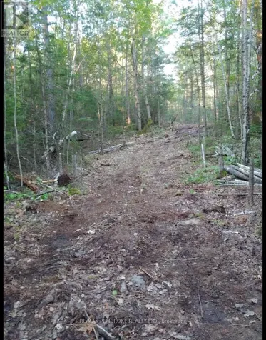 1678 Locksley Road Laurentian Valley ON K8A 6W5