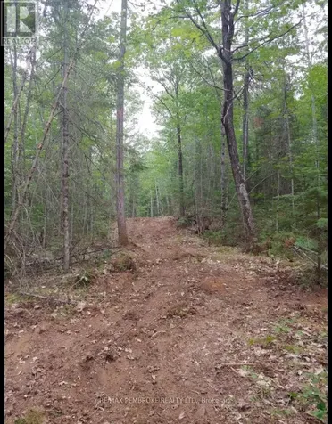 1678 Locksley Road Laurentian Valley ON K8A 6W5