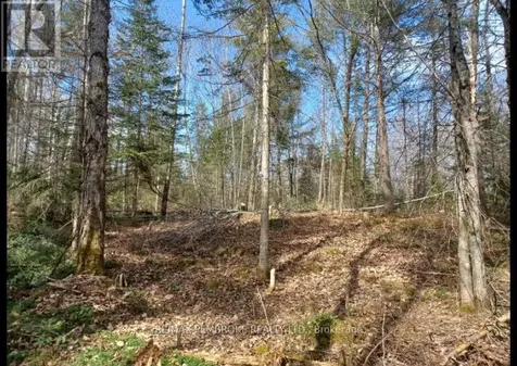 1678 Locksley Road Laurentian Valley ON K8A 6W5