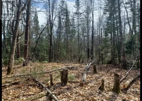 1678 Locksley Road Laurentian Valley ON K8A 6W5