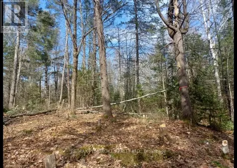 1678 Locksley Road Laurentian Valley ON K8A 6W5