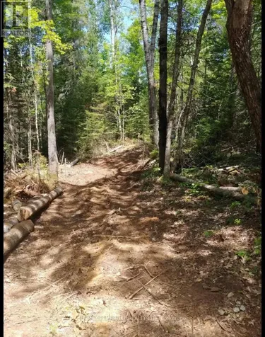 1678 Locksley Road Laurentian Valley ON K8A 6W5