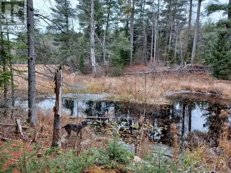 1678 Locksley Road Laurentian Valley ON K8A 6W5