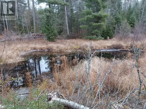 1678 Locksley Road Laurentian Valley ON K8A 6W5