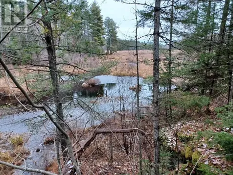 1678 Locksley Road Laurentian Valley ON K8A 6W5