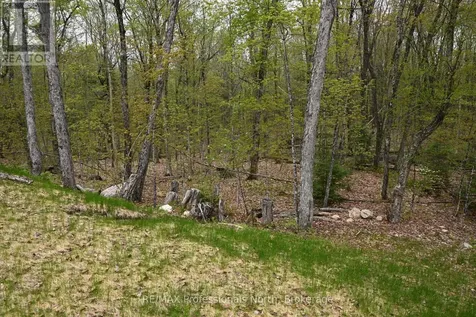 121 Loon Lake Road Magnetawan ON P0A 1Z0