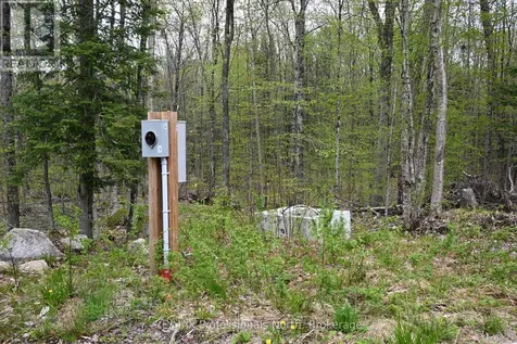 121 Loon Lake Road Magnetawan ON P0A 1Z0