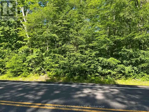 01 Siberia Road Madawaska Valley ON K0J 1B0